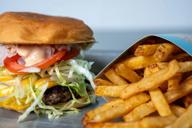 A cheeseburger and a generous serving of plain hand-cut fries